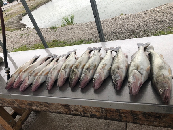 tournament pre-fish day.